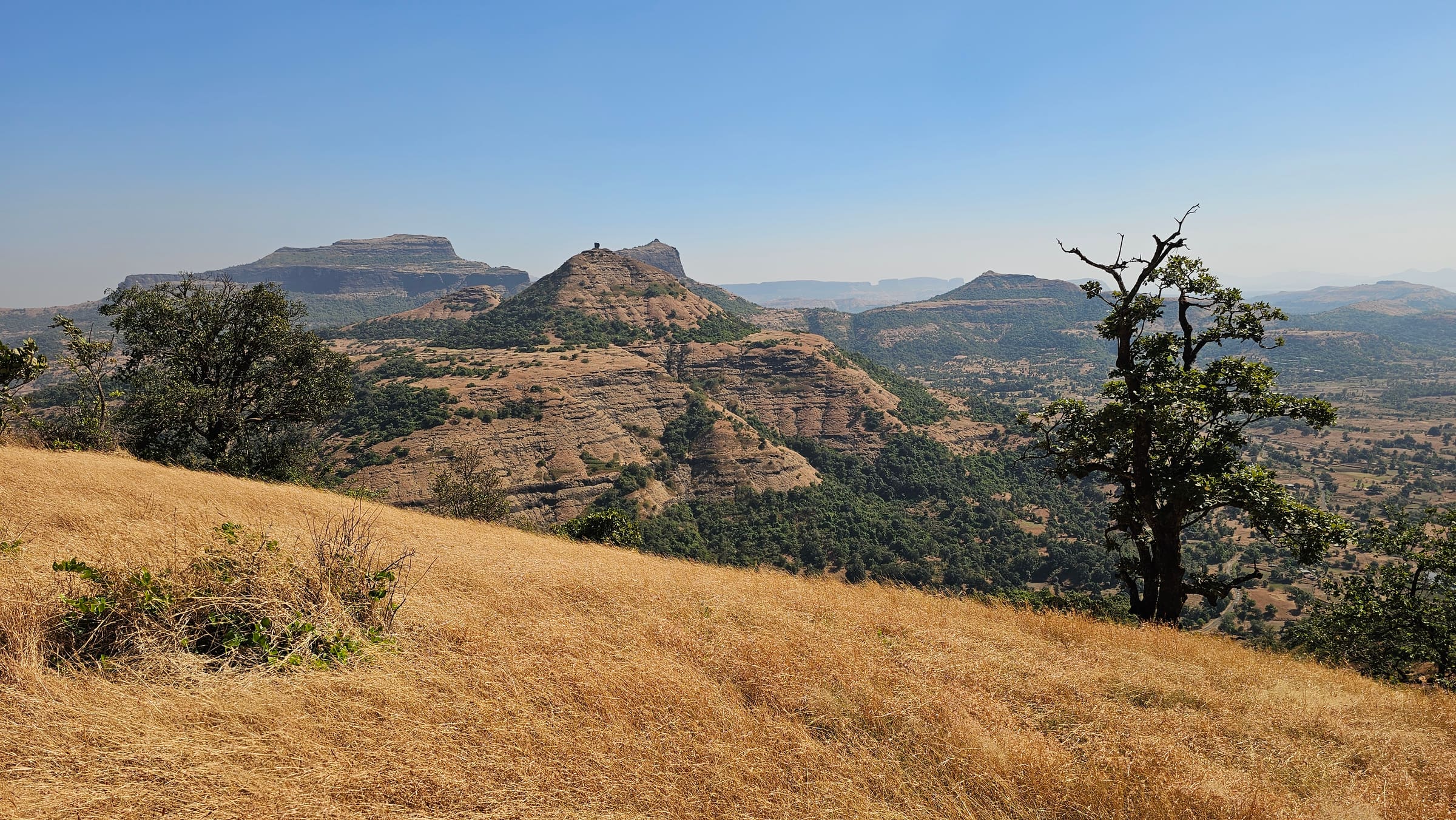 Brahma Dongar, Phani Dongar, Harihar Fort and Sinhasan Dongar, seen from Bhaskargad's east-facing slopes