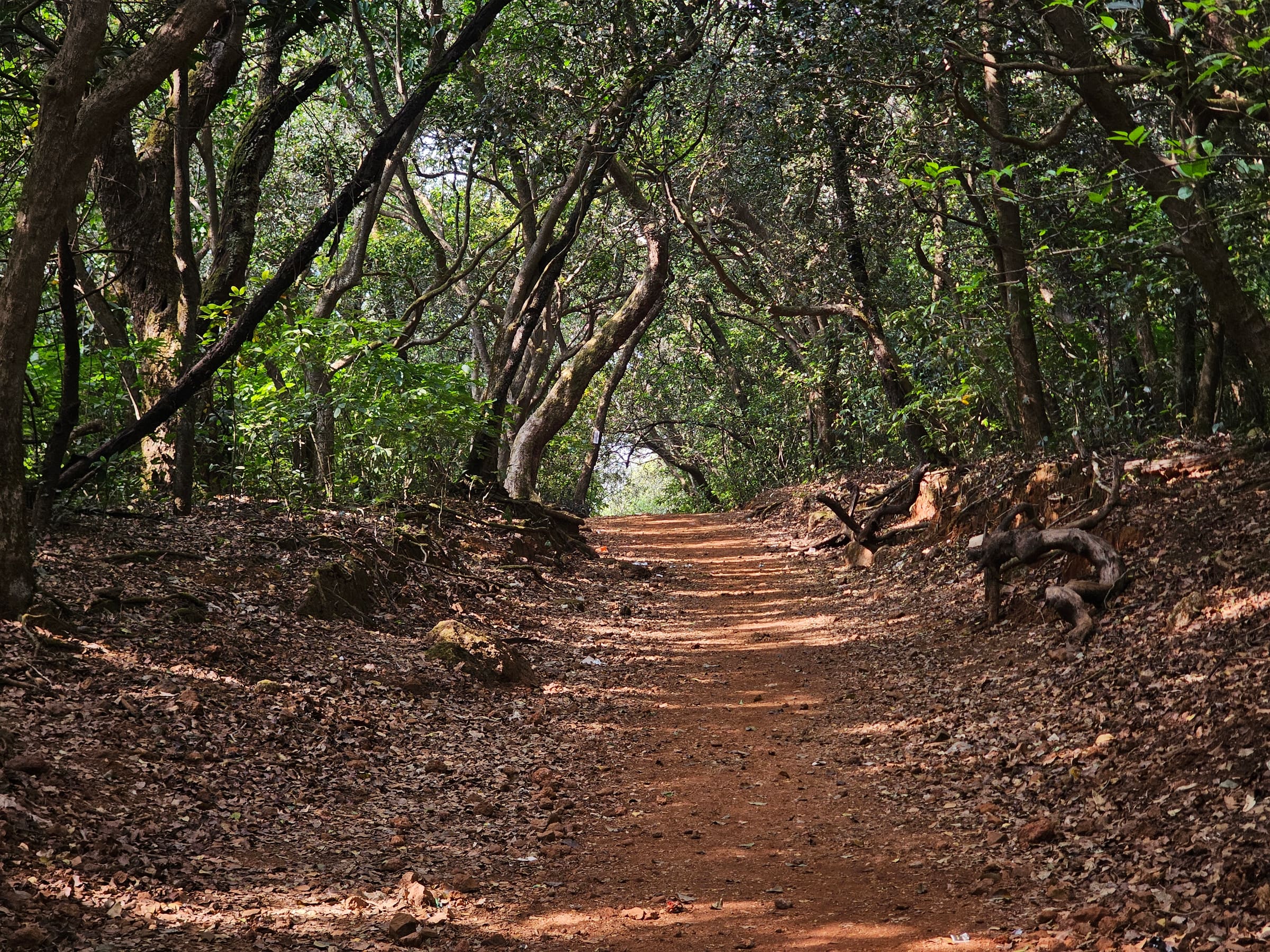 EST Stage 40: Ambavli to Bombay Point