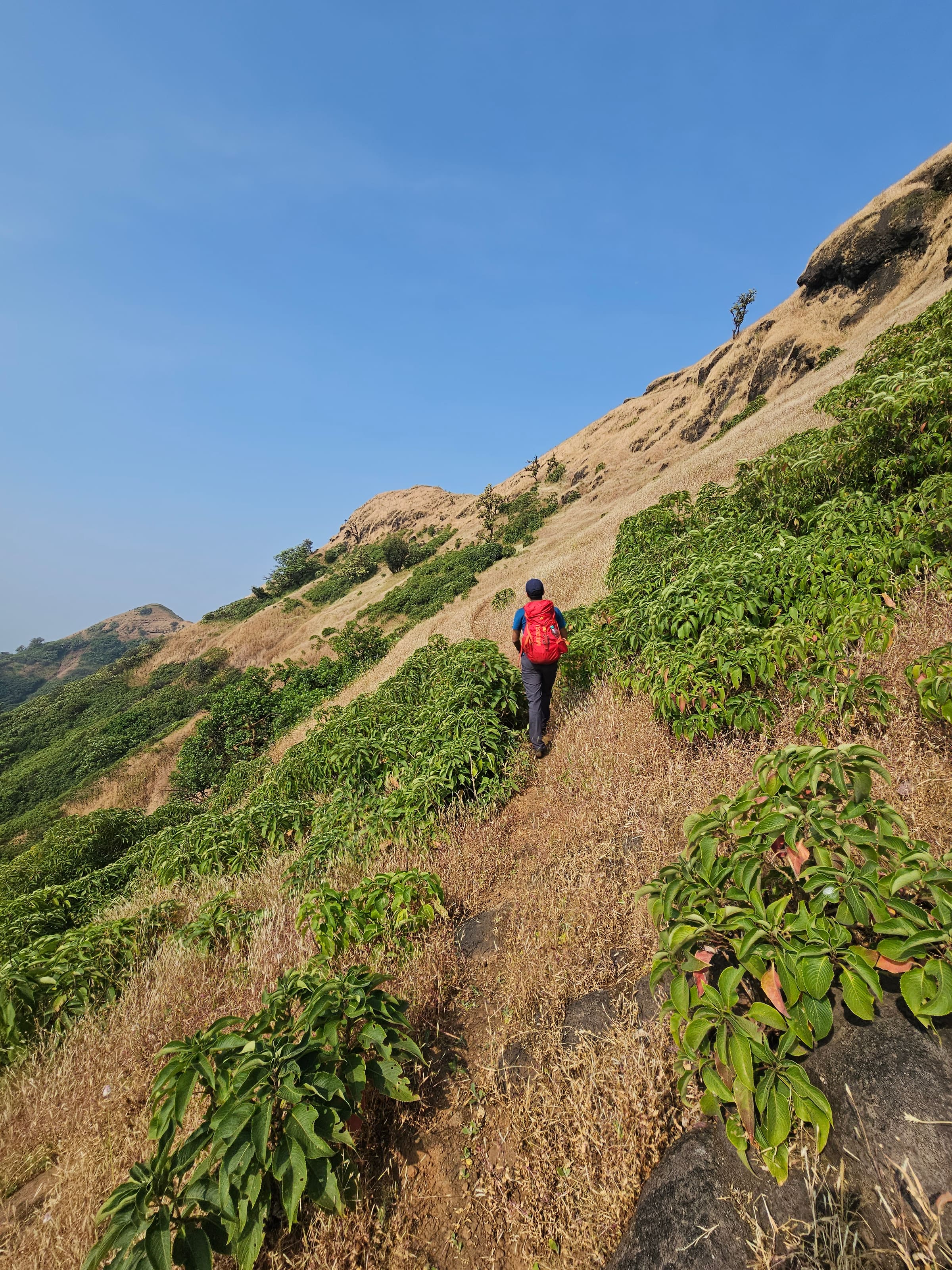 EST Stage 34: Shirgaon to Kudali Khurd